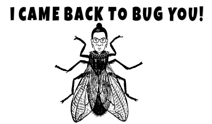 47 Memes That Wouldn’t Exist If The Fly Didn’t Land On Mike Pence’s Head Last Night 47 Memes That Wouldn’t Exist If The Fly Didn’t Land On Mike Pence’s Head Last Night