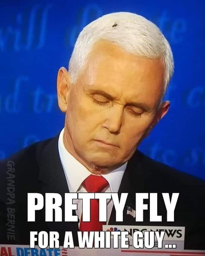 47 Memes That Wouldn’t Exist If The Fly Didn’t Land On Mike Pence’s Head Last Night 47 Memes That Wouldn’t Exist If The Fly Didn’t Land On Mike Pence’s Head Last Night
