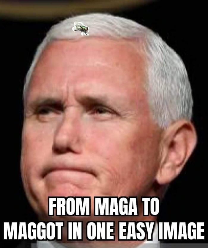 47 Memes That Wouldn’t Exist If The Fly Didn’t Land On Mike Pence’s Head Last Night 47 Memes That Wouldn’t Exist If The Fly Didn’t Land On Mike Pence’s Head Last Night