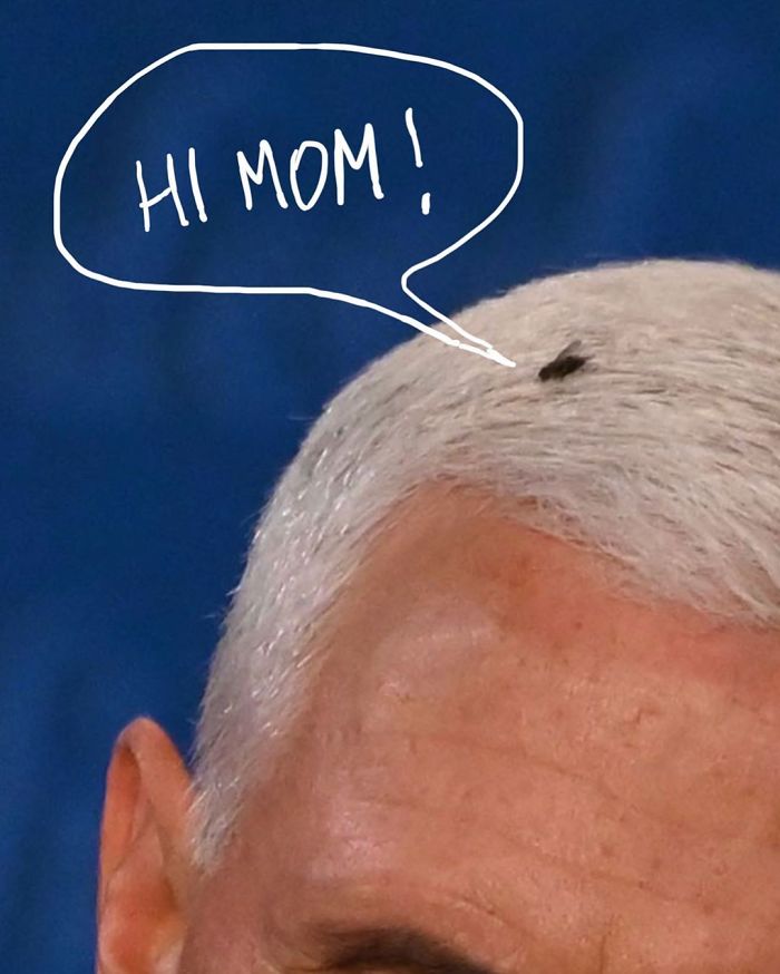 47 Memes That Wouldn’t Exist If The Fly Didn’t Land On Mike Pence’s Head Last Night 47 Memes That Wouldn’t Exist If The Fly Didn’t Land On Mike Pence’s Head Last Night