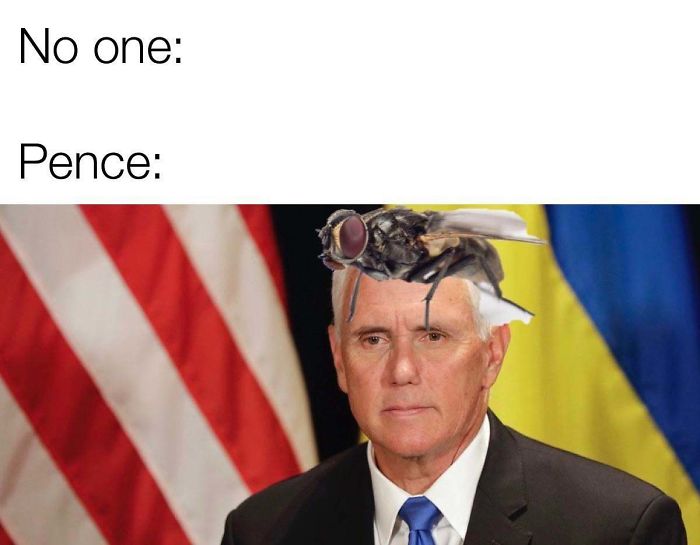 47 Memes That Wouldn’t Exist If The Fly Didn’t Land On Mike Pence’s Head Last Night 47 Memes That Wouldn’t Exist If The Fly Didn’t Land On Mike Pence’s Head Last Night