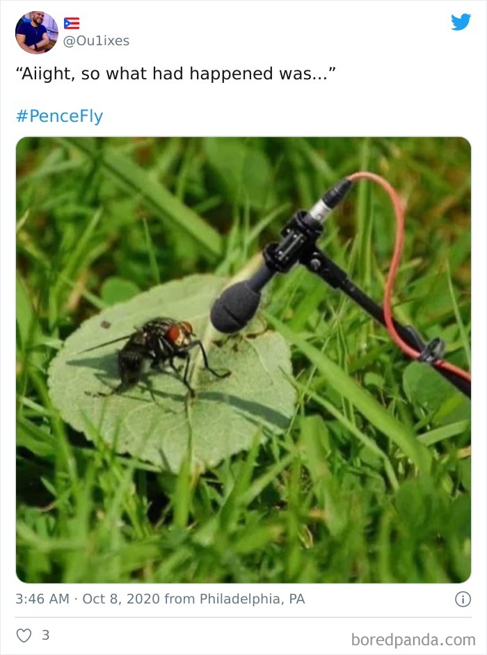 47 Memes That Wouldn’t Exist If The Fly Didn’t Land On Mike Pence’s Head Last Night 47 Memes That Wouldn’t Exist If The Fly Didn’t Land On Mike Pence’s Head Last Night