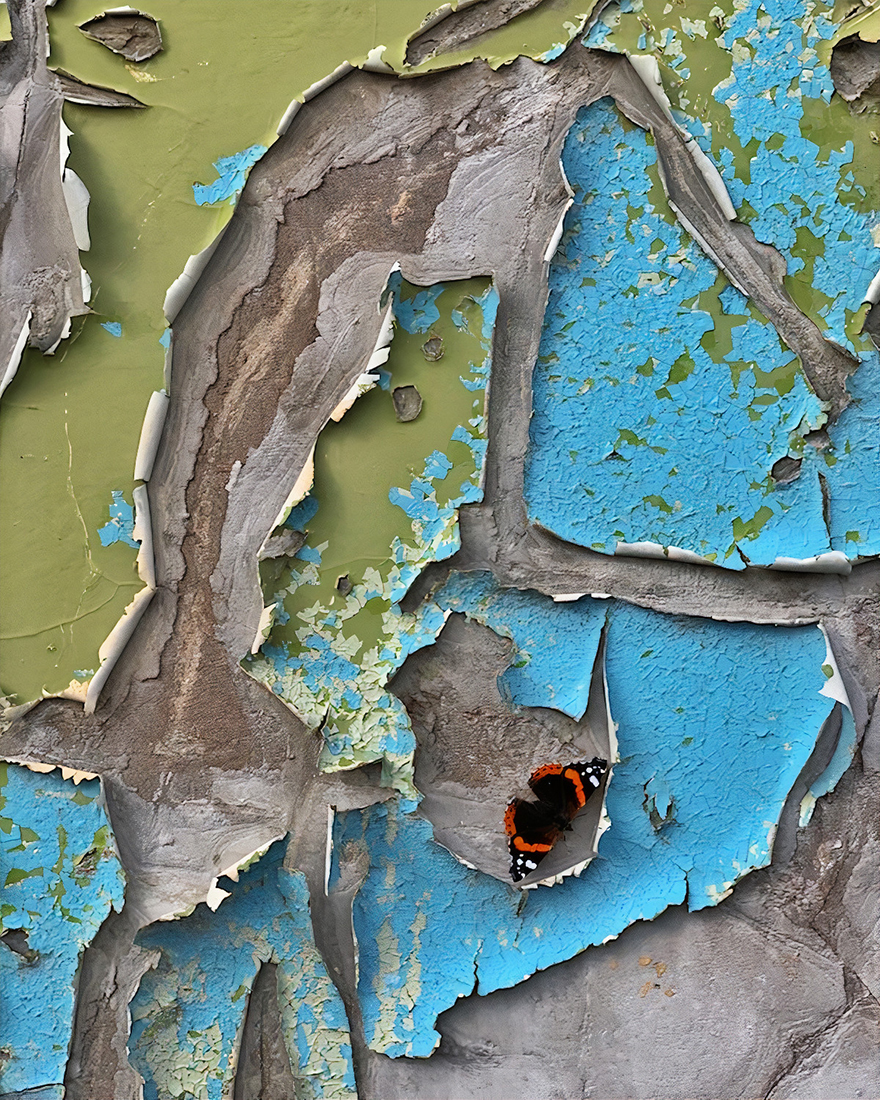 See 30 Winners Of The Close-Up Photography Of The Year 2020 Competition See 30 Winners Of The Close-Up Photography Of The Year 2020 Competition