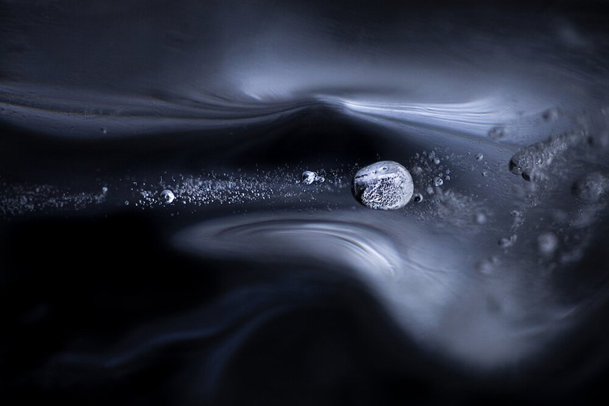 See 30 Winners Of The Close-Up Photography Of The Year 2020 Competition See 30 Winners Of The Close-Up Photography Of The Year 2020 Competition