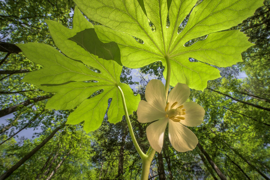 See 30 Winners Of The Close-Up Photography Of The Year 2020 Competition See 30 Winners Of The Close-Up Photography Of The Year 2020 Competition