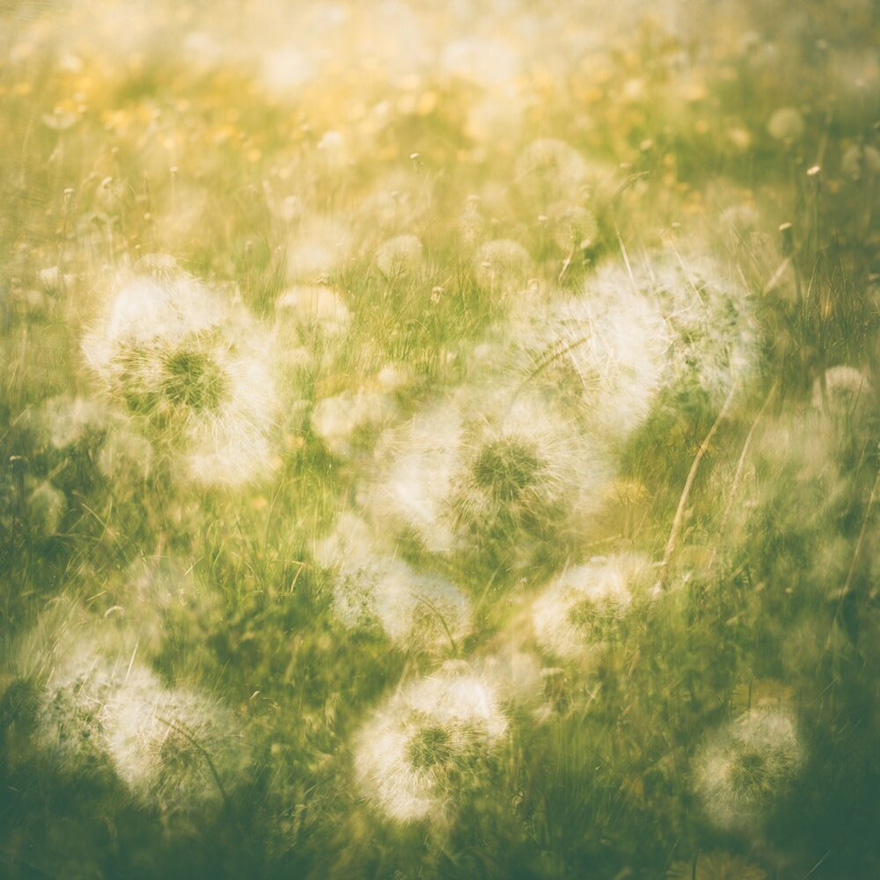 See 30 Winners Of The Close-Up Photography Of The Year 2020 Competition See 30 Winners Of The Close-Up Photography Of The Year 2020 Competition