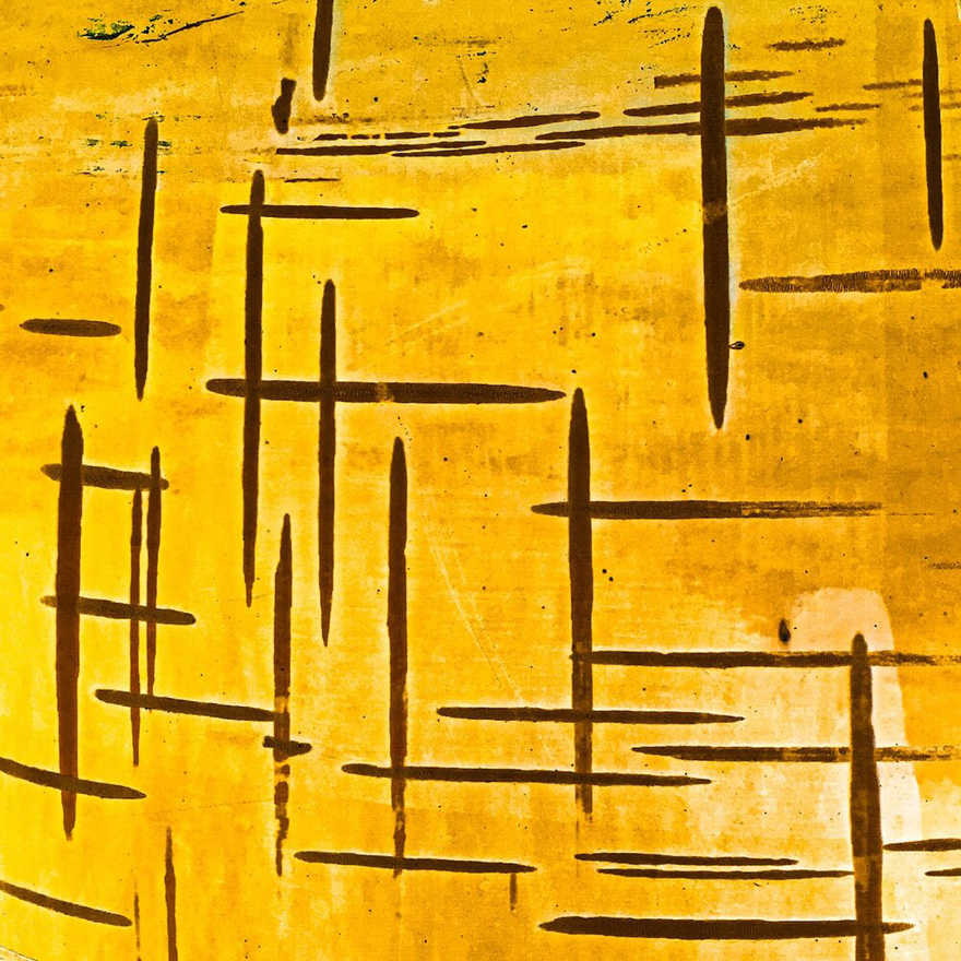 See 30 Winners Of The Close-Up Photography Of The Year 2020 Competition See 30 Winners Of The Close-Up Photography Of The Year 2020 Competition