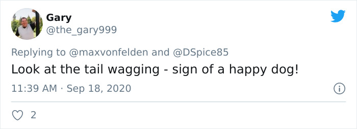 Viral TikTok Captures A Dog Calmly Carrying His Bowl Full Of Kibble To Eat It On The Couch, And People Relate To Him On A Spiritual Level Viral TikTok Captures A Dog Calmly Carrying His Bowl Full Of Kibble To Eat It On The Couch, And People Relate To Him On A Spiritual Level