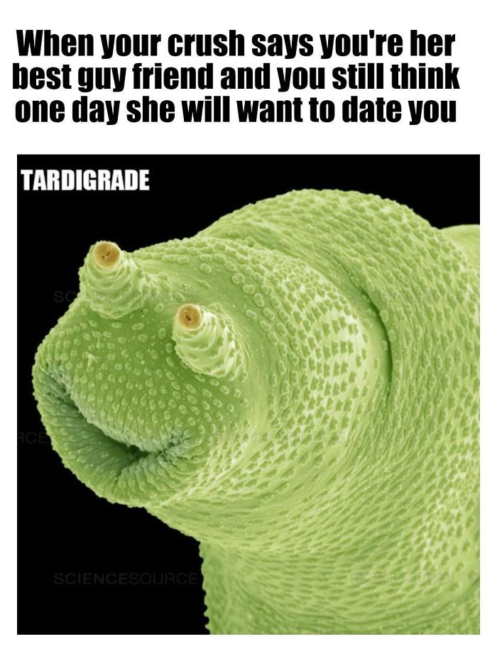 9 Micro-Memes To Make You Micro-Laugh 9 Micro-Memes To Make You Micro-Laugh