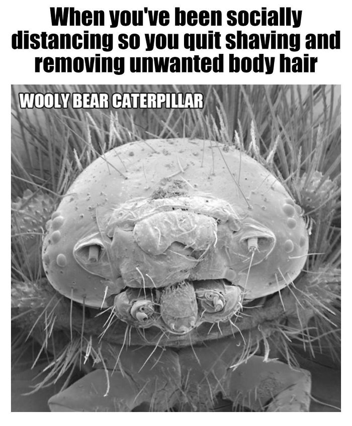 9 Micro-Memes To Make You Micro-Laugh 9 Micro-Memes To Make You Micro-Laugh