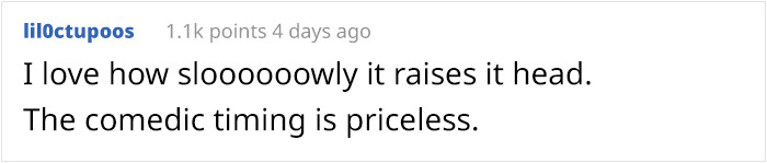 What Could Go Wrong If You Put A Dog On A Diet? Watch This Owner Learn The Hard Way What Could Go Wrong If You Put A Dog On A Diet? Watch This Owner Learn The Hard Way