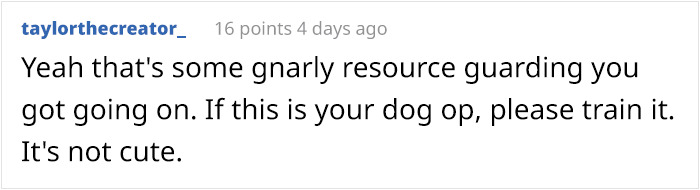 What Could Go Wrong If You Put A Dog On A Diet? Watch This Owner Learn The Hard Way What Could Go Wrong If You Put A Dog On A Diet? Watch This Owner Learn The Hard Way