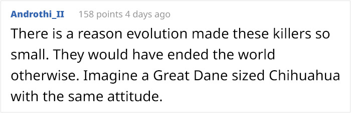 What Could Go Wrong If You Put A Dog On A Diet? Watch This Owner Learn The Hard Way What Could Go Wrong If You Put A Dog On A Diet? Watch This Owner Learn The Hard Way