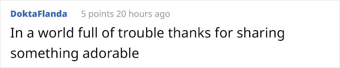 This Good Boy Just Started Training To Become A Police Dog In Estonia And People On The Internet Are Already Proud Of Him This Good Boy Just Started Training To Become A Police Dog In Estonia And People On The Internet Are Already Proud Of Him