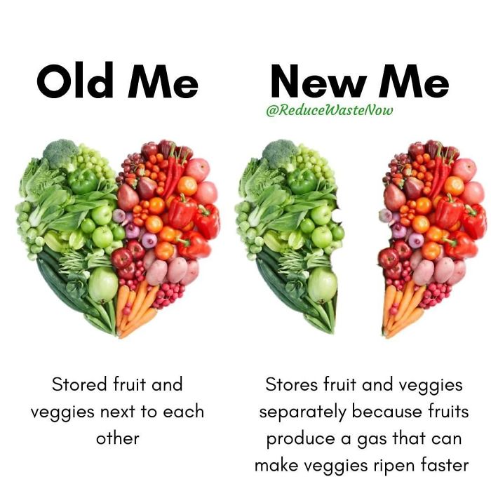 50 ‘Old Me vs. New Me’ Memes That Will Help You Reduce Waste 50 ‘Old Me vs. New Me’ Memes That Will Help You Reduce Waste