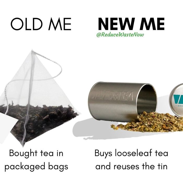 50 ‘Old Me vs. New Me’ Memes That Will Help You Reduce Waste 50 ‘Old Me vs. New Me’ Memes That Will Help You Reduce Waste