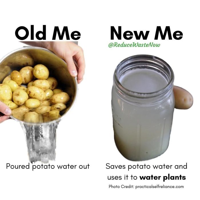 50 ‘Old Me vs. New Me’ Memes That Will Help You Reduce Waste 50 ‘Old Me vs. New Me’ Memes That Will Help You Reduce Waste