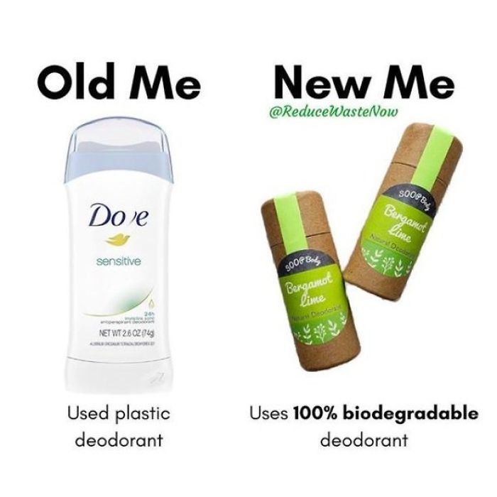 50 ‘Old Me vs. New Me’ Memes That Will Help You Reduce Waste 50 ‘Old Me vs. New Me’ Memes That Will Help You Reduce Waste