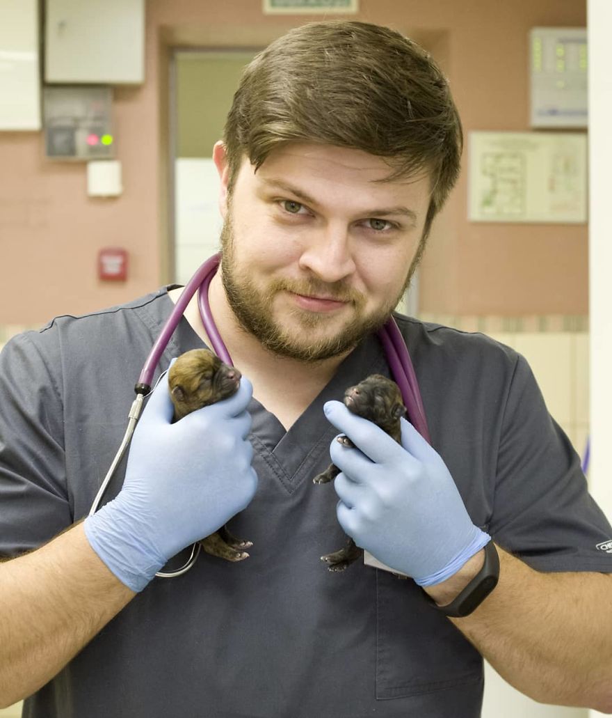 Vet Gives Top 10 Tips So That Everyone’s Pet Can Live A Long And Happy Life Vet Gives Top 10 Tips So That Everyone’s Pet Can Live A Long And Happy Life