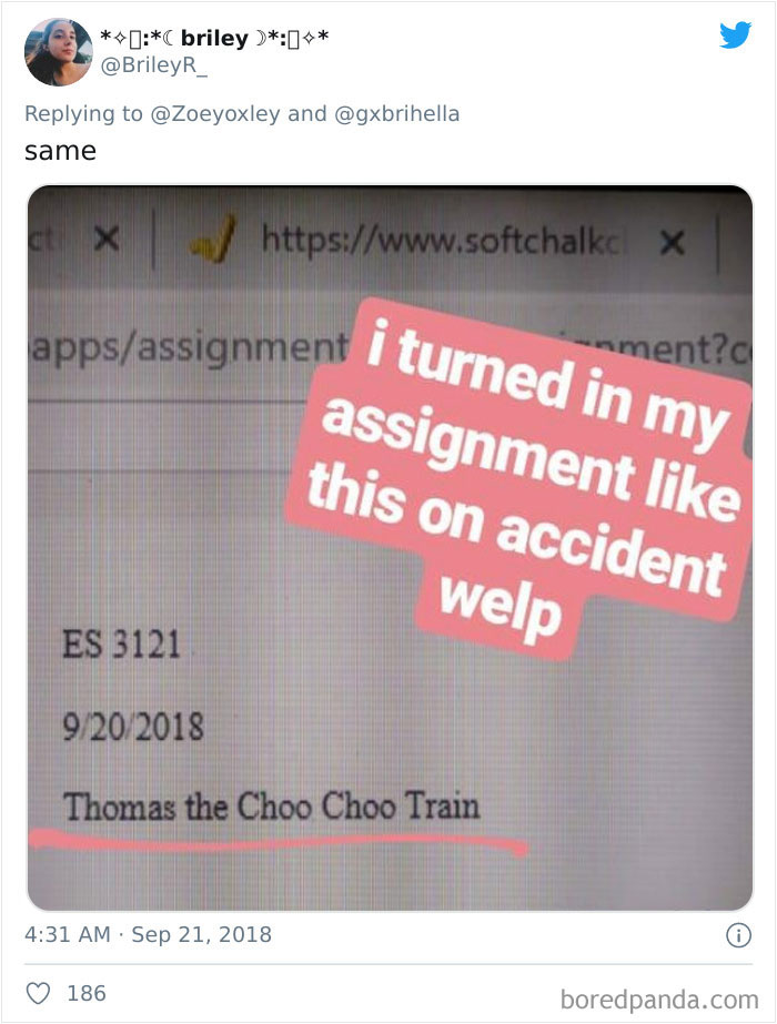 32 Times Students Didn’t Proofread Their Work And Left In The Funniest Mistakes 32 Times Students Didn’t Proofread Their Work And Left In The Funniest Mistakes