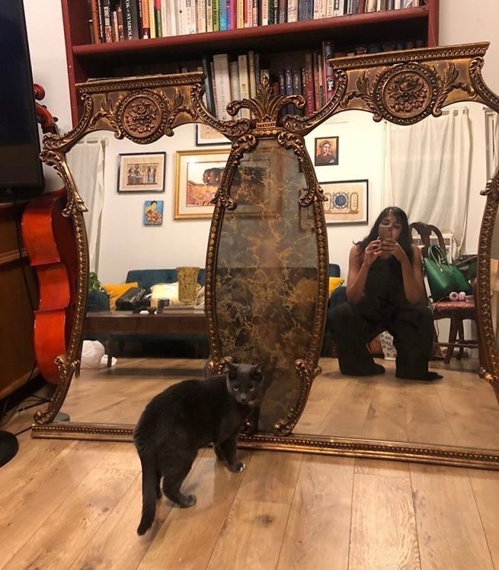 People Share What They Found Thrown Away And The Phrase ‘One Man’s Trash Is Another Man’s Treasure’ Has Never Been So Real