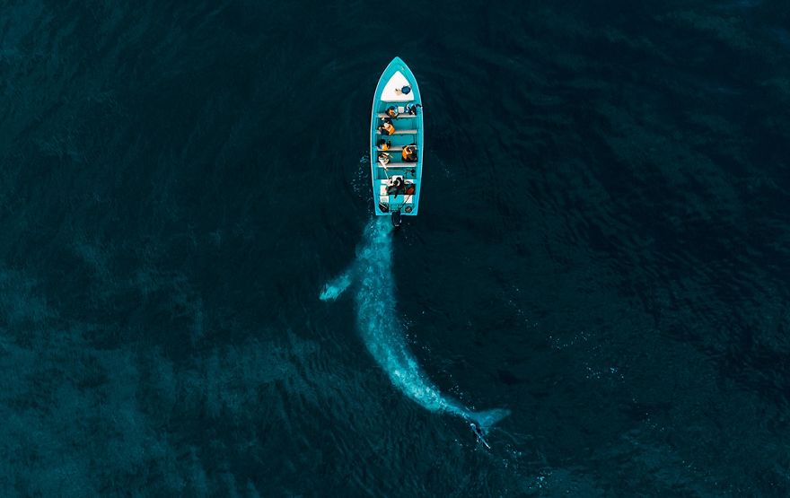Drone Photography Awards Have Announced Their Winners, Here Are 30 Of The Most Splendid Finalists