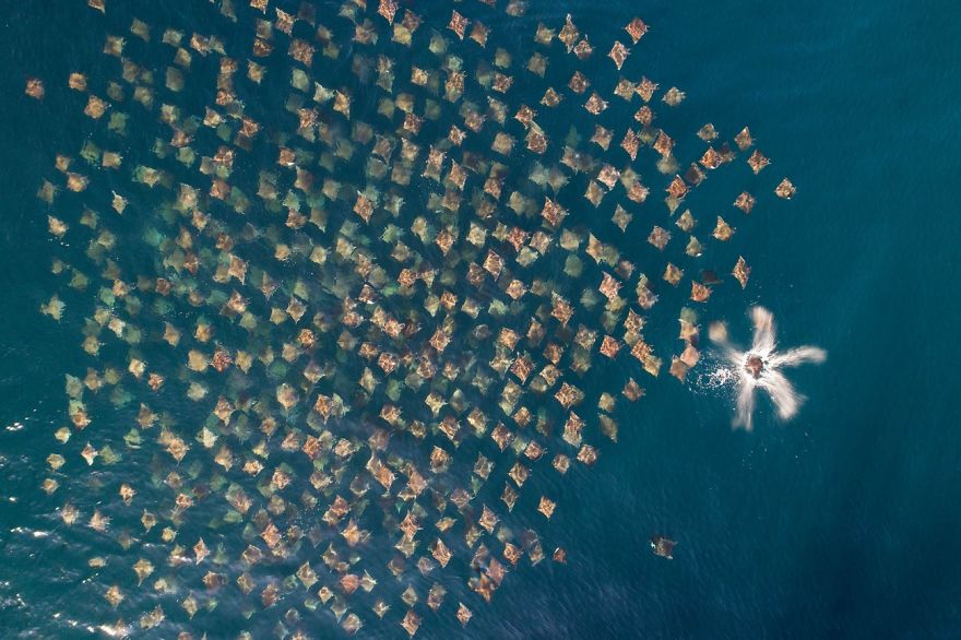 Drone Photography Awards Have Announced Their Winners, Here Are 30 Of The Most Splendid Finalists