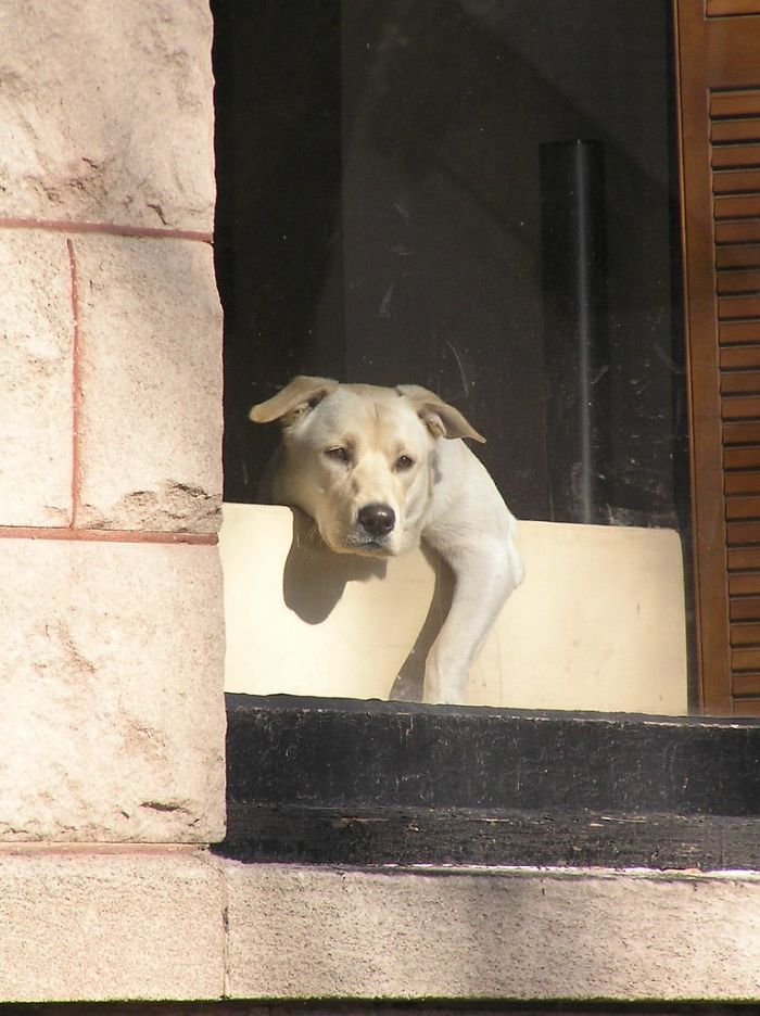 30 Of The Creepiest Facts People Have Shared In This Viral Thread That Many Wish They Didn’t Know 30 Of The Creepiest Facts People Have Shared In This Viral Thread That Many Wish They Didn’t Know