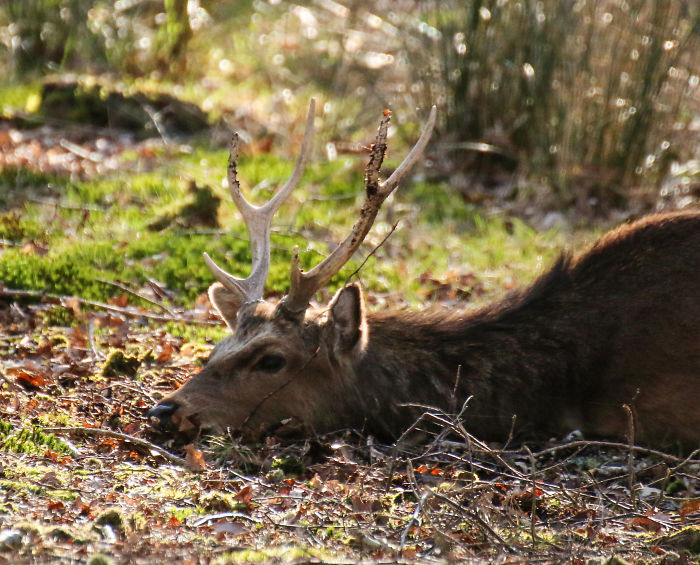 30 Of The Creepiest Facts People Have Shared In This Viral Thread That Many Wish They Didn’t Know 30 Of The Creepiest Facts People Have Shared In This Viral Thread That Many Wish They Didn’t Know