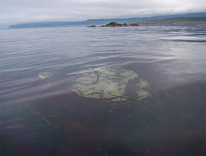 30 Of The Creepiest Facts People Have Shared In This Viral Thread That Many Wish They Didn’t Know 30 Of The Creepiest Facts People Have Shared In This Viral Thread That Many Wish They Didn’t Know