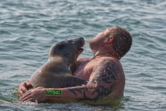 Sammy The Seal Is So Outgoing, He’s Making Human Friends At The Beach Sammy The Seal Is So Outgoing, He’s Making Human Friends At The Beach