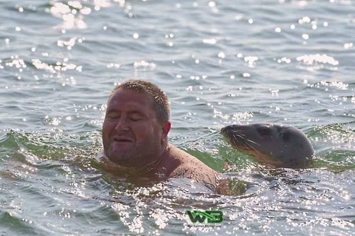 Sammy The Seal Is So Outgoing, He’s Making Human Friends At The Beach Sammy The Seal Is So Outgoing, He’s Making Human Friends At The Beach