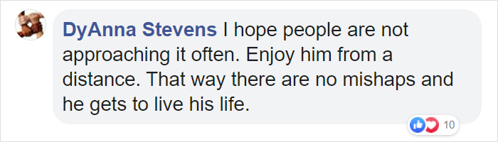 Sammy The Seal Is So Outgoing, He’s Making Human Friends At The Beach Sammy The Seal Is So Outgoing, He’s Making Human Friends At The Beach