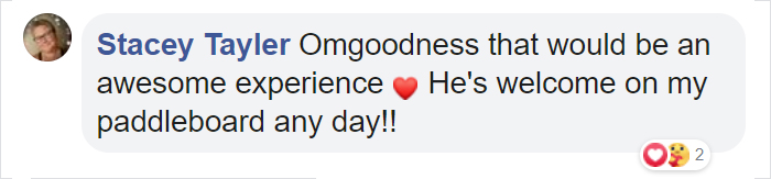 Sammy The Seal Is So Outgoing, He’s Making Human Friends At The Beach Sammy The Seal Is So Outgoing, He’s Making Human Friends At The Beach