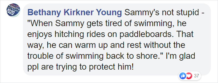 Sammy The Seal Is So Outgoing, He’s Making Human Friends At The Beach Sammy The Seal Is So Outgoing, He’s Making Human Friends At The Beach