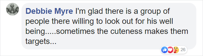 Sammy The Seal Is So Outgoing, He’s Making Human Friends At The Beach Sammy The Seal Is So Outgoing, He’s Making Human Friends At The Beach