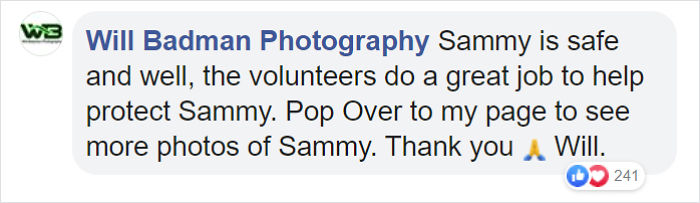 Sammy The Seal Is So Outgoing, He’s Making Human Friends At The Beach Sammy The Seal Is So Outgoing, He’s Making Human Friends At The Beach