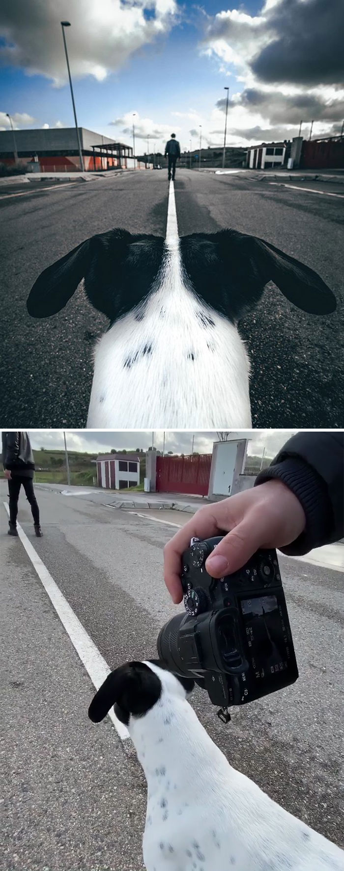 Photographer Reveals What Tricks He Uses To Get Interesting Photos In 30 Examples (New Pics) Photographer Reveals What Tricks He Uses To Get Interesting Photos In 30 Examples (New Pics)