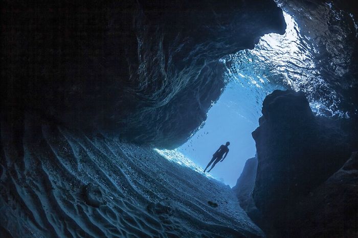 Photo Of Whale Shark With 50+ Fish In its Mouth Wins Grand Prize In Underwater Photo Contest Photo Of Whale Shark With 50+ Fish In its Mouth Wins Grand Prize In Underwater Photo Contest