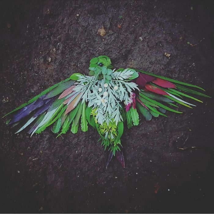 Artist Uses Leaves And Flowers To Create Mesmerizing Bird Portraits (30 Pics) Artist Uses Leaves And Flowers To Create Mesmerizing Bird Portraits (30 Pics)