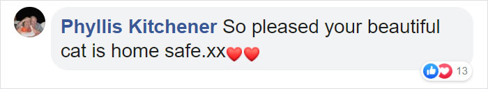 This 40-Pound African Cat Is Reunited With His Owners After Running Away And Spending 3 Days In The Wild This 40-Pound African Cat Is Reunited With His Owners After Running Away And Spending 3 Days In The Wild