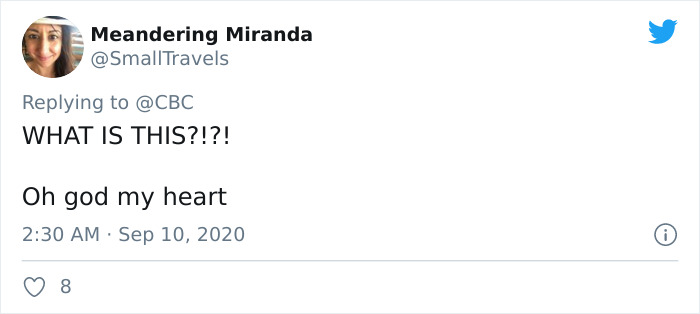 CBC Shares 1984 Video Of Keanu Reeves Reporting On Teddy Bears, The Internet Falls In Love With Him Even More CBC Shares 1984 Video Of Keanu Reeves Reporting On Teddy Bears, The Internet Falls In Love With Him Even More