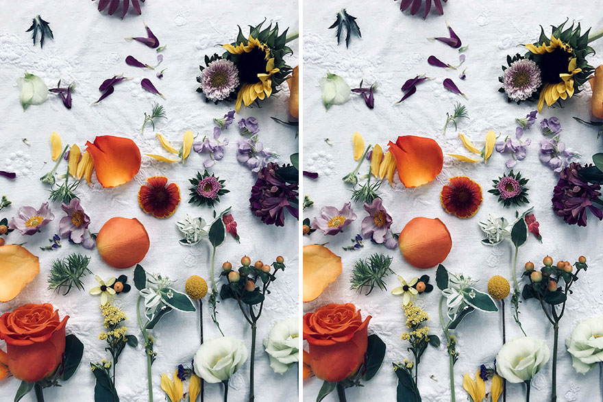 Can You Find The Differences In These 30 Images I Made? Can You Find The Differences In These 30 Images I Made?