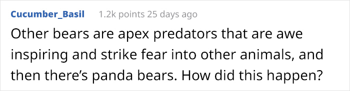 This Zookeeper Is Trying To Rake Leaves, But 2 Panda Cubs Have Other Ideas This Zookeeper Is Trying To Rake Leaves, But 2 Panda Cubs Have Other Ideas