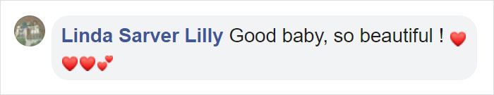 Kerith The Golden Retriever Is Visiting Areas Affected By Fires In California To Comfort Overworked Firefighters Kerith The Golden Retriever Is Visiting Areas Affected By Fires In California To Comfort Overworked Firefighters