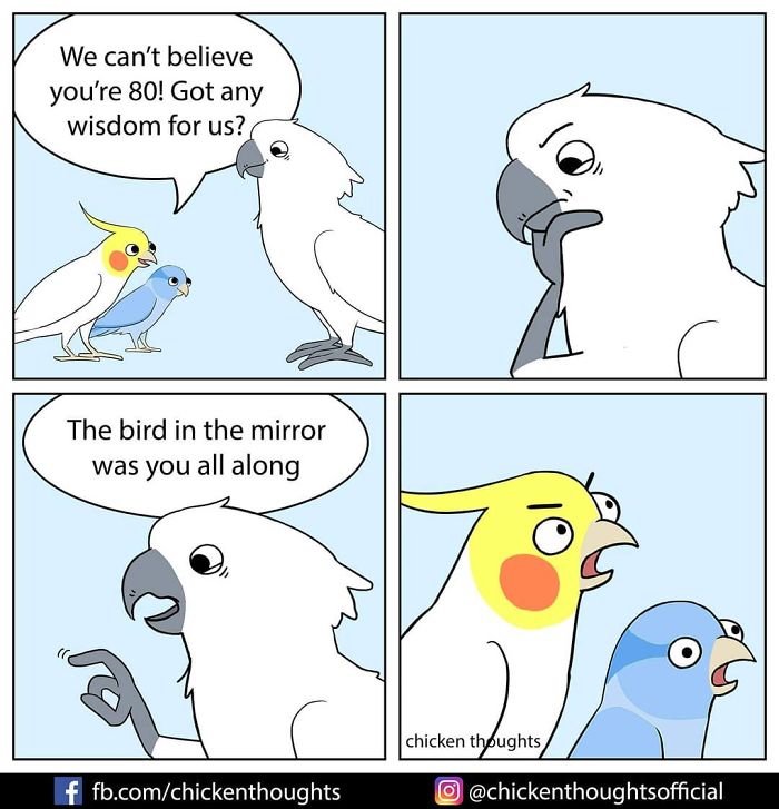 30 Funny Comics About Parrots, Illustrated By A Bird Owner 30 Funny Comics About Parrots, Illustrated By A Bird Owner