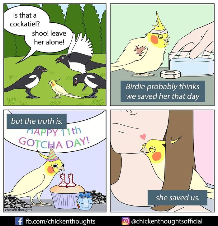 30 Funny Comics About Parrots, Illustrated By A Bird Owner 30 Funny Comics About Parrots, Illustrated By A Bird Owner