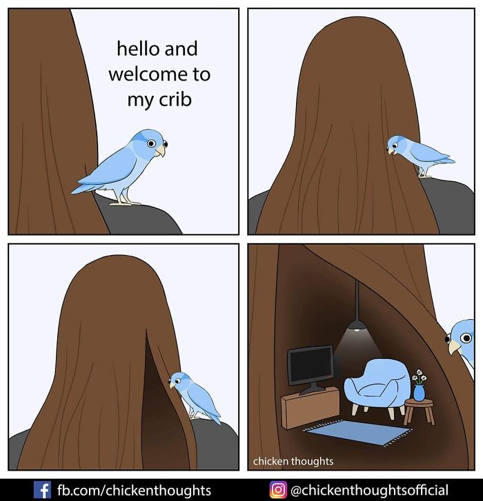 30 Funny Comics About Parrots, Illustrated By A Bird Owner 30 Funny Comics About Parrots, Illustrated By A Bird Owner