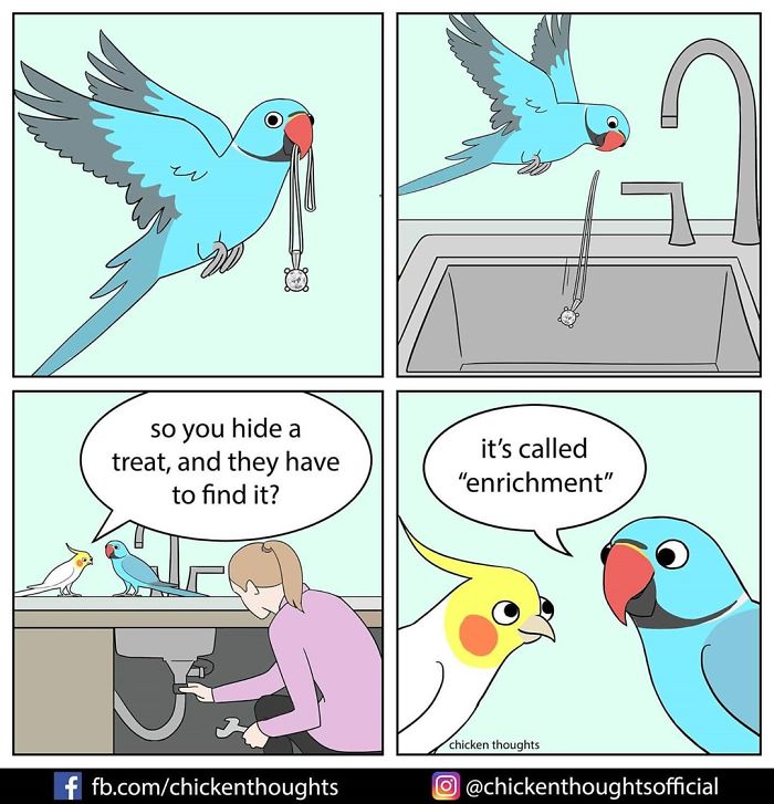 30 Funny Comics About Parrots, Illustrated By A Bird Owner 30 Funny Comics About Parrots, Illustrated By A Bird Owner