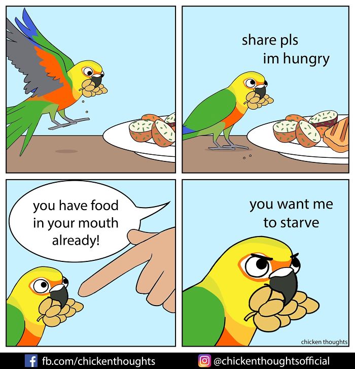 30 Funny Comics About Parrots, Illustrated By A Bird Owner 30 Funny Comics About Parrots, Illustrated By A Bird Owner
